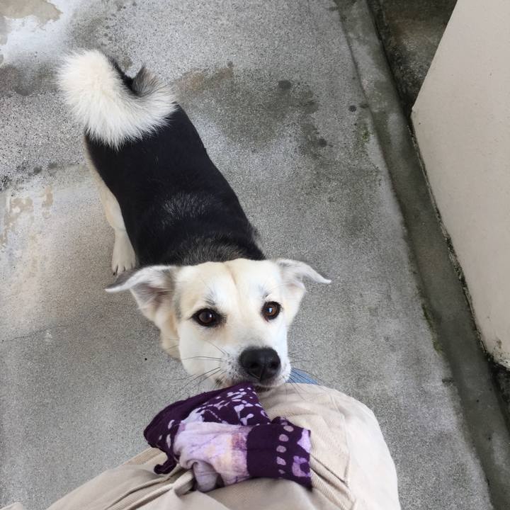 E097ff11 22fe 4d0c 8fc7 fdebea689580