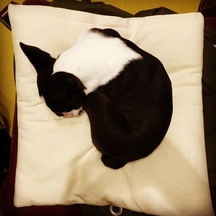 E0983d90 df9f 4e1b 94ee b27538328788