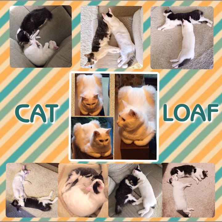 E09881cd f6d5 42f2 8622 76f8918a6d93