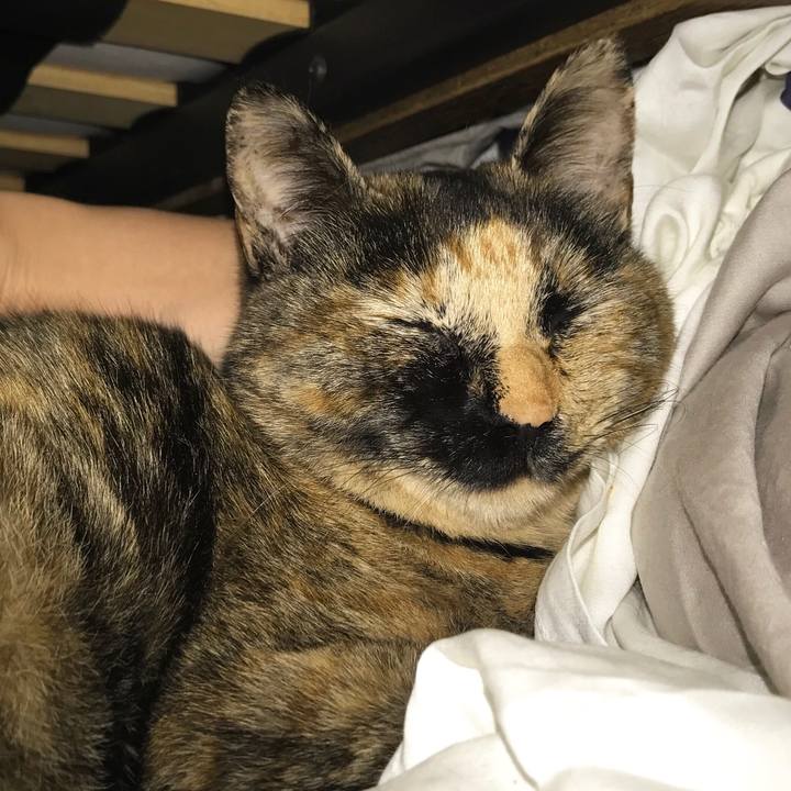 E0989a40 08d3 40e2 81eb 1715a0ce7147