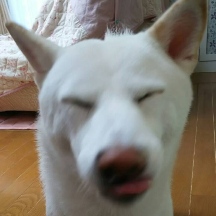 E0998c3c 6341 4f8a 91ad 0d58d453b884