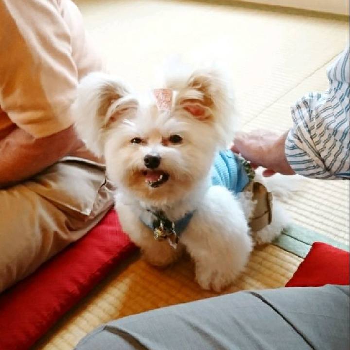 E09a6de5 ce22 42ad bc14 ad901ab5b21a