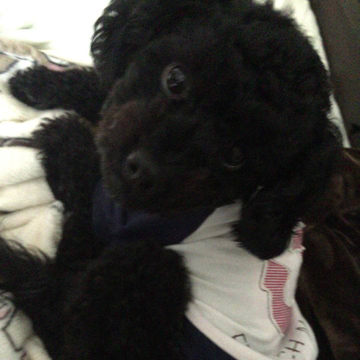 E09aaf4a b6c1 4d93 87e6 f7073c41cd62