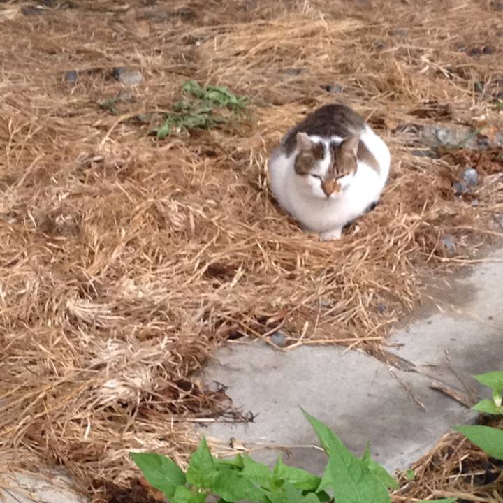 E09ab304 c439 471f bfc3 f3753e28c43b