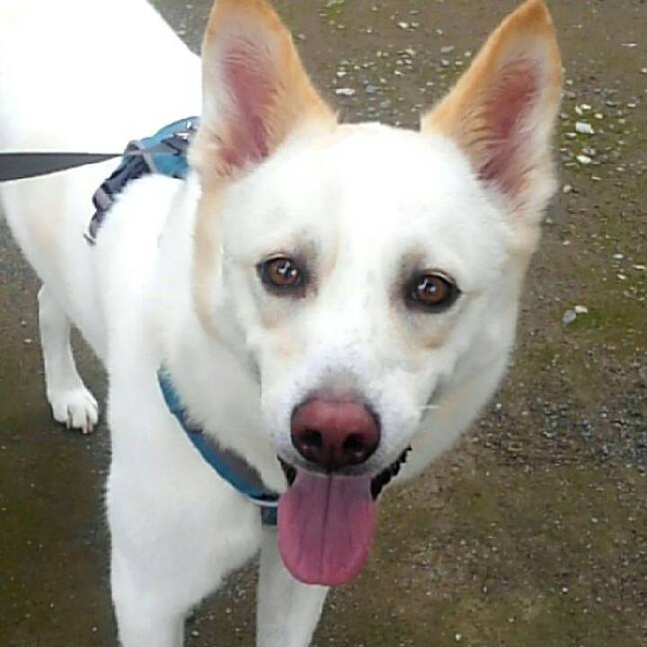 E09ac4aa a042 470f bc53 41b9382f93a4