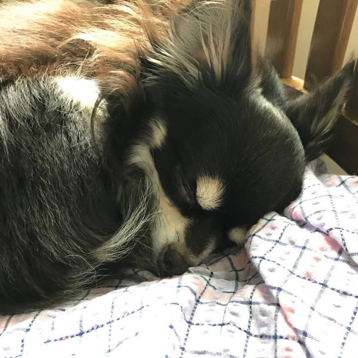 E09ae2b4 f240 4f5c 9424 f8d76fcc7abc