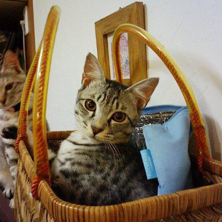 E09b69e8 e10d 4aa1 a95d 6fdda9acaaef