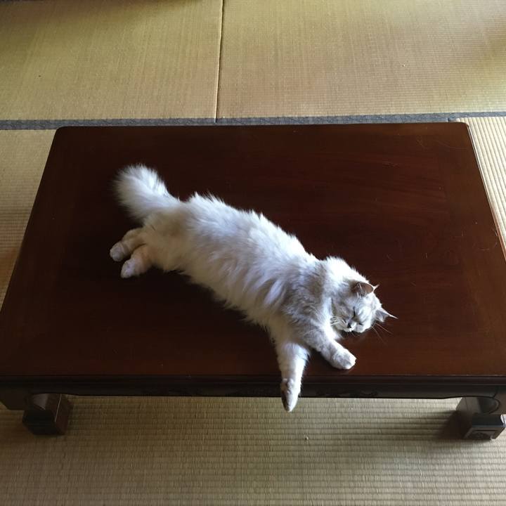 E09bdb6e 512a 4539 ae64 9b57556508a6