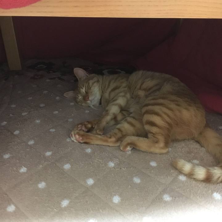 E09bfe2e d399 4272 a79e a5506b0ccc72