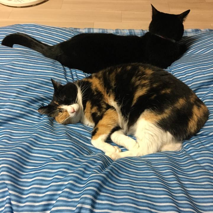 E09d475e 6312 4e64 8139 8b1114f5019e