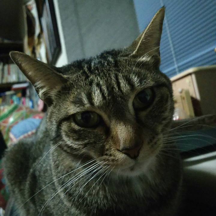 E09d51fe cc9b 41bb ae20 086ac4c94baa