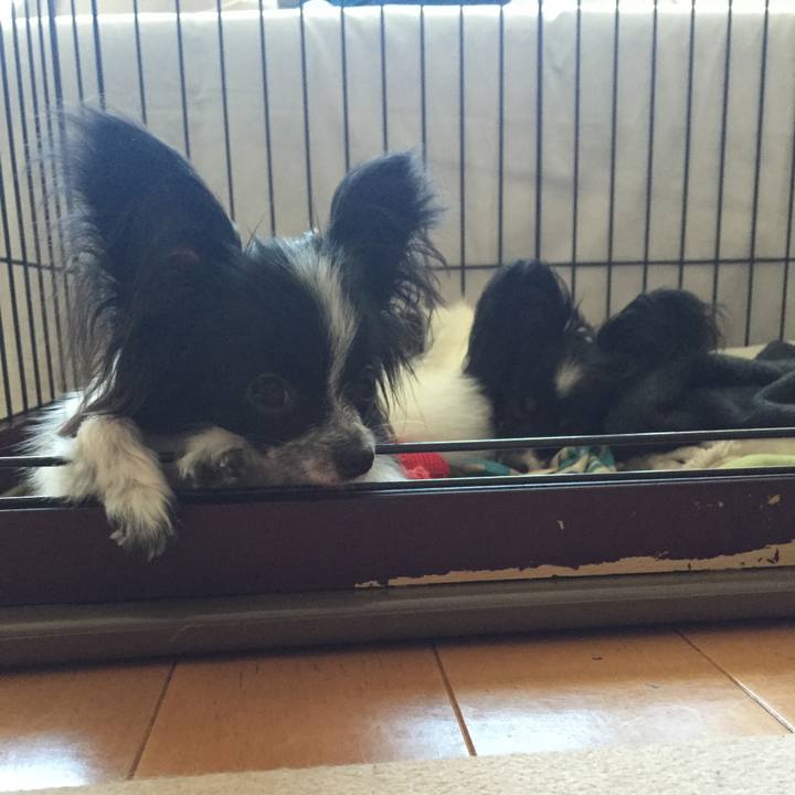 E09d5b00 0cf8 4823 9eff e69039bd2ff4