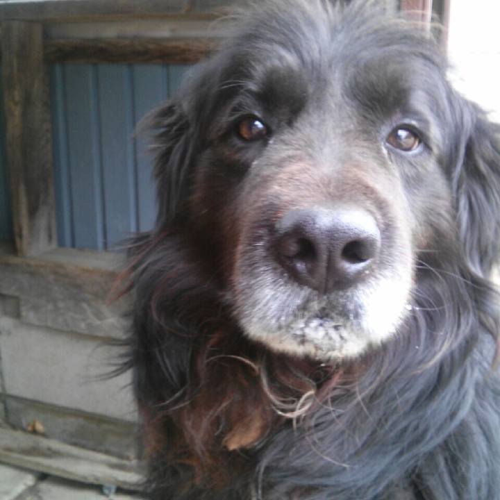 E09d6795 4d02 4d34 ac6e cabe15d8bd2a