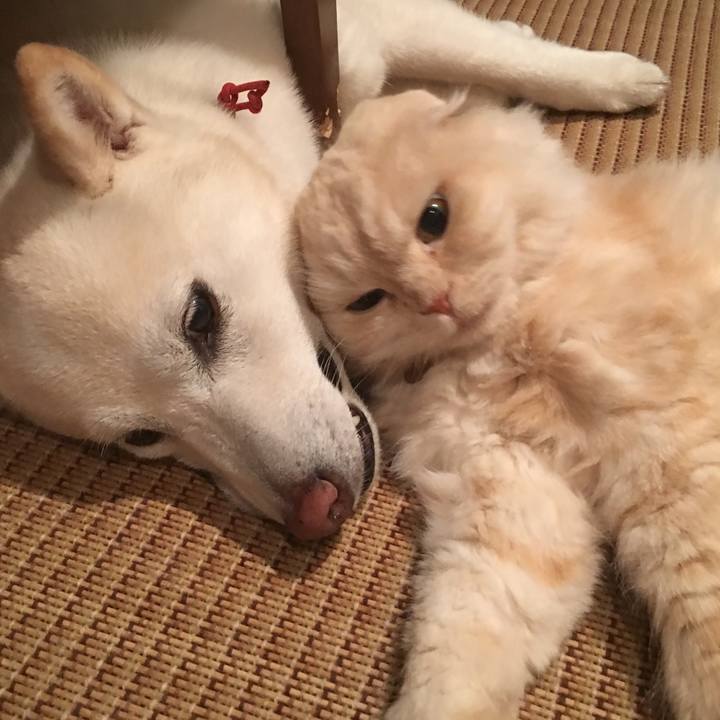 E09d6d67 dea8 4380 9756 6c0bb03484b0