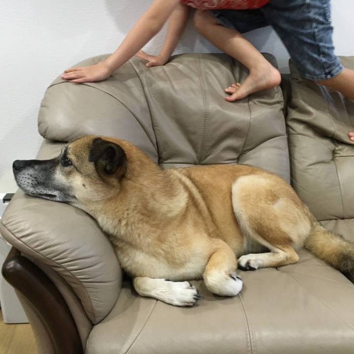 E09e7722 dc3f 4b2c 8aaf 0b13a04b8092