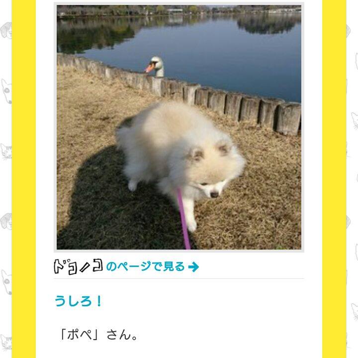 E09ed67b 9652 4fc0 b670 601df7495c4e