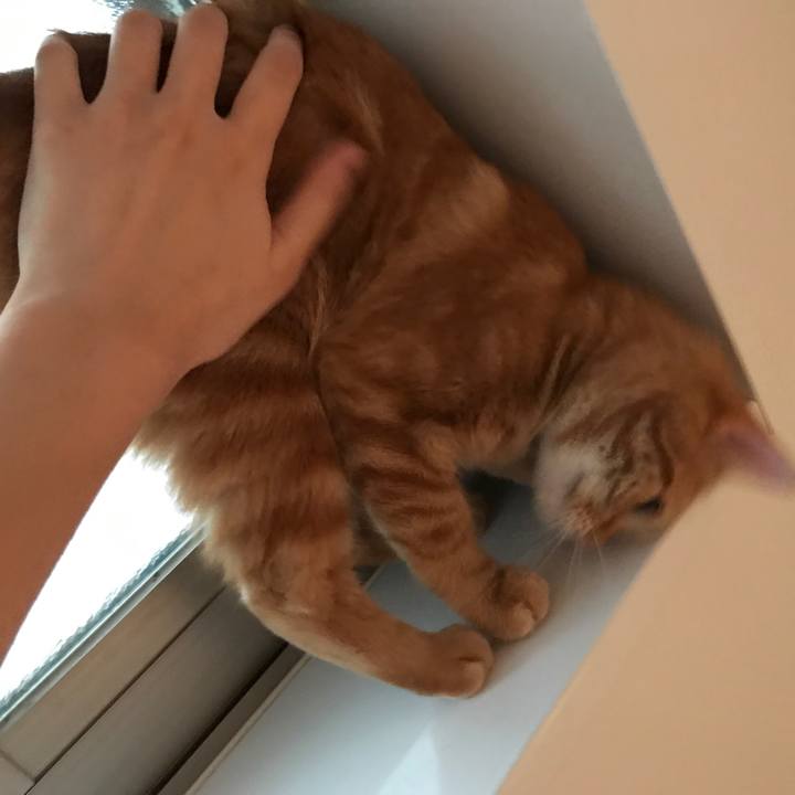 E0a08f6d dd2c 4f71 a243 0d4dff76a2f5