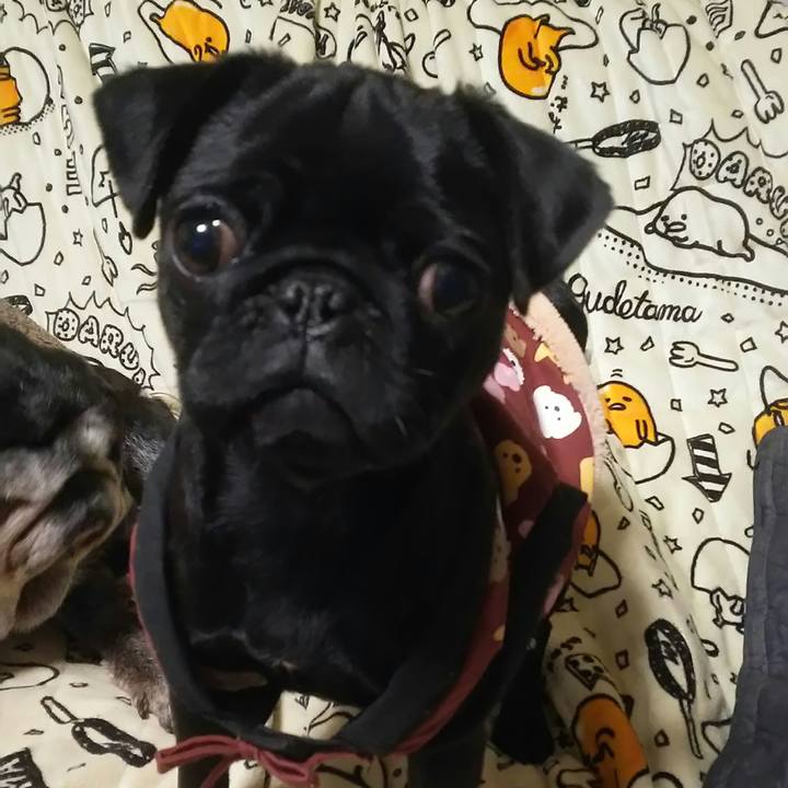 E0a0d02a f74d 443b b122 6b374761968d