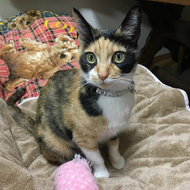 E0a0e1b5 59d1 4cd3 9bd6 66abeee12a7e