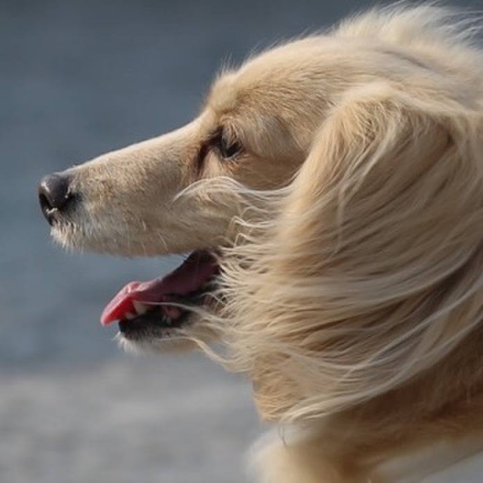 E0a0f028 18ac 4bd0 97fc 361abe88f678