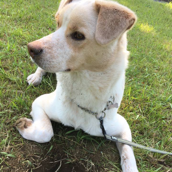 E0a11af9 a651 4602 8926 2650826119d3