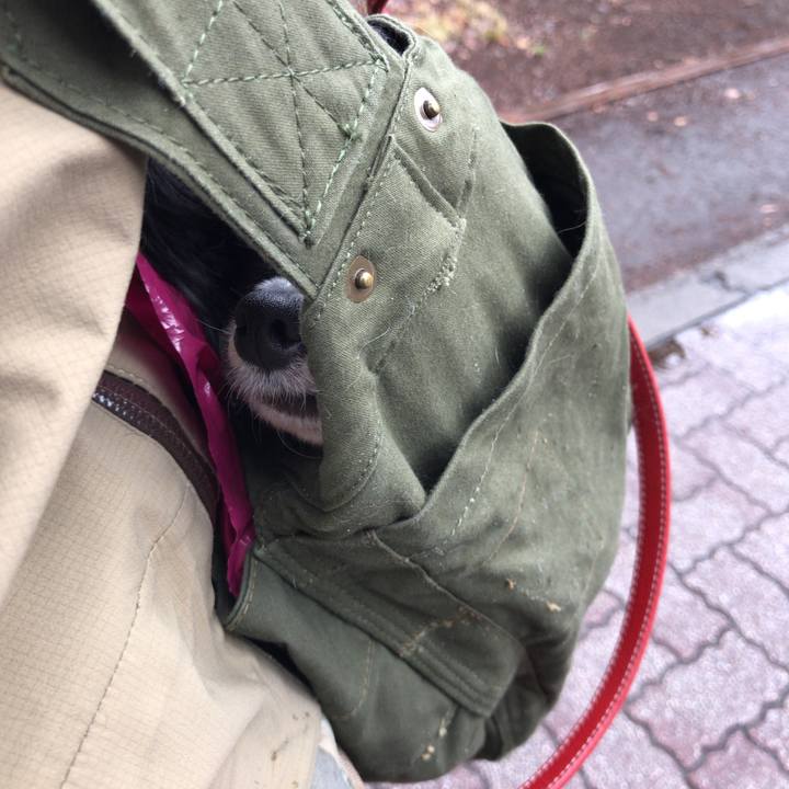 E0a12858 4fa7 4915 b777 ebcacf7187de