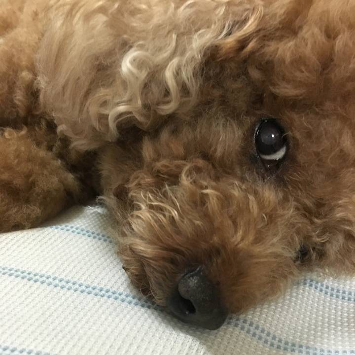 E0a136be 8047 450c adb3 8011877333f9