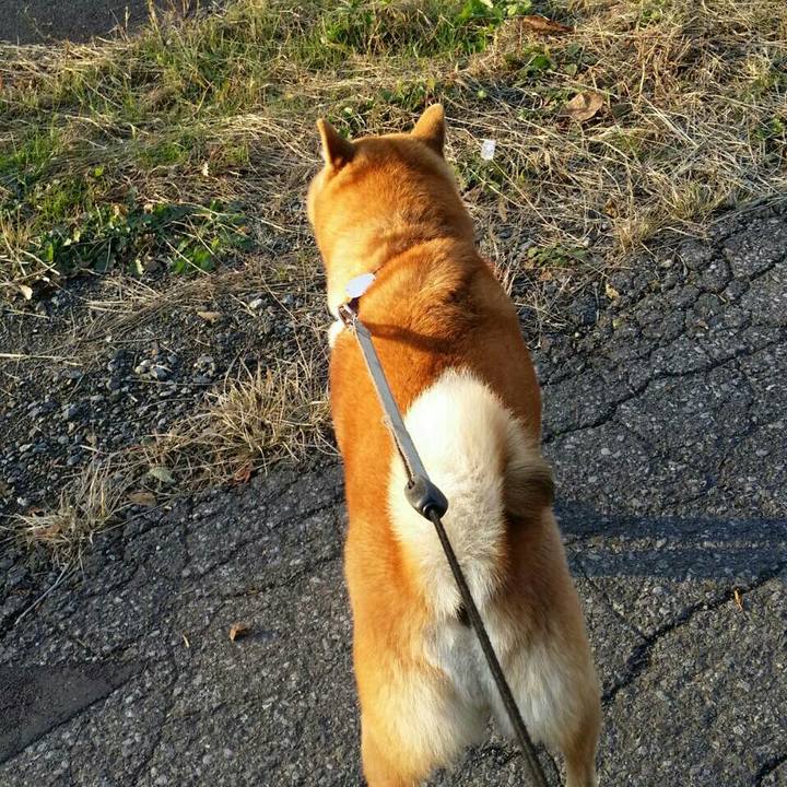 E0a1c185 c09c 463b 8e24 753373fc753b