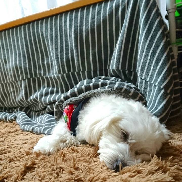 E0a2d971 483e 46a4 bbbf f18cd60b74b4