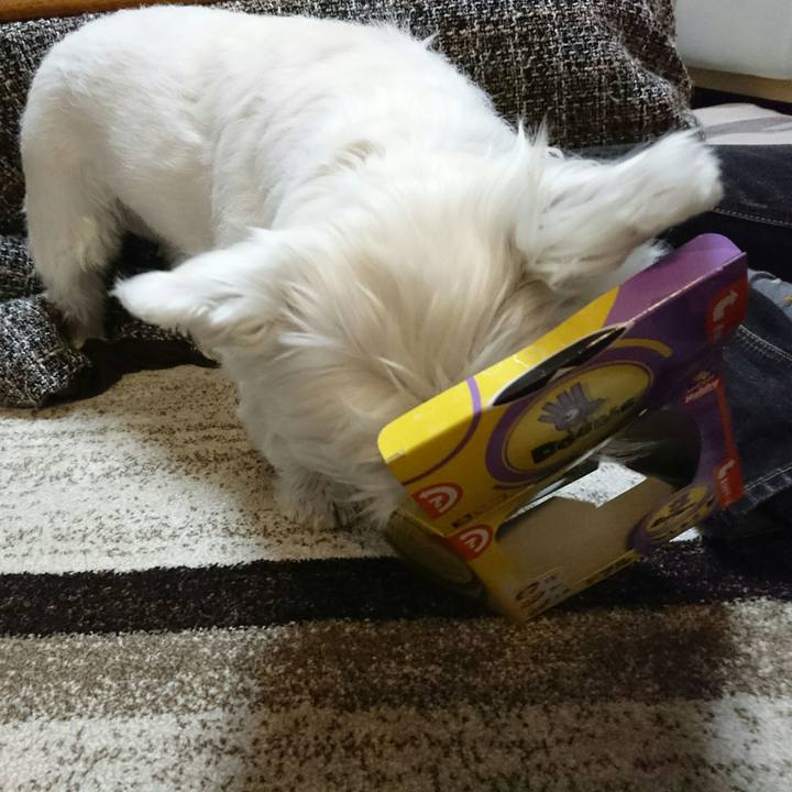 E0a39046 8216 4bb2 89f5 0534b24ba4c0