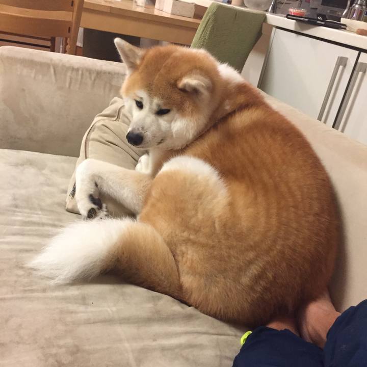 E0a3a513 a6d1 4ba2 903e 1a727a34e1f6