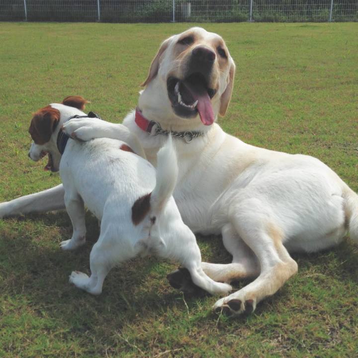 E0a3ad2a 8d14 40f5 bd26 0330cc27f559