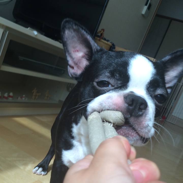 E0a3cf0e 7862 469d 8714 2727ffaf1aab