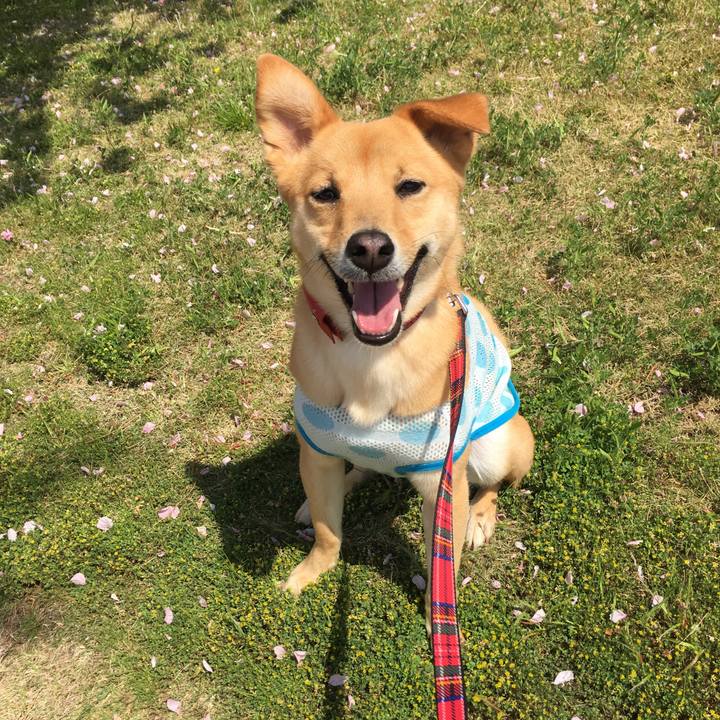 E0a3d372 82ed 4d75 b466 2716622a80a6