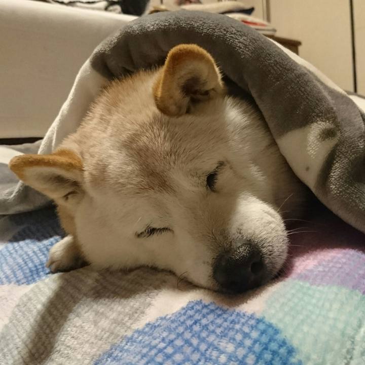 E0a5527d f2d5 4e93 ac32 3429da1790be