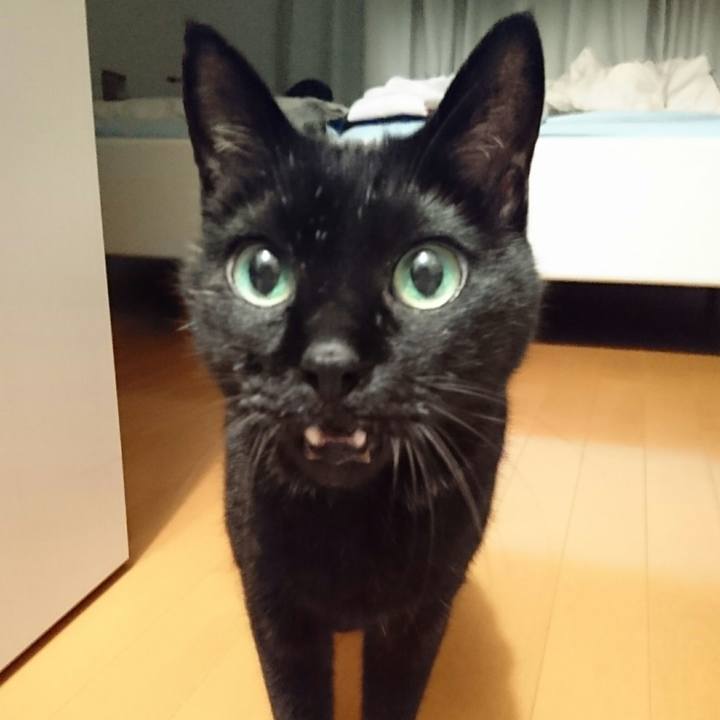 E0a5a7e8 241f 469f 9ebf 051ad8abc3ae