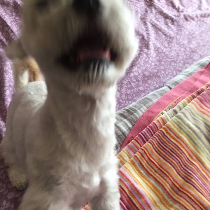 E0a5ba65 97e8 4d49 a6ed 2cb774f26020