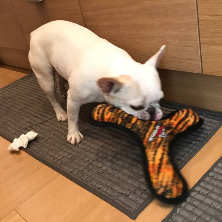 E0a5cf01 b2df 4ed2 b378 8478337c63c6