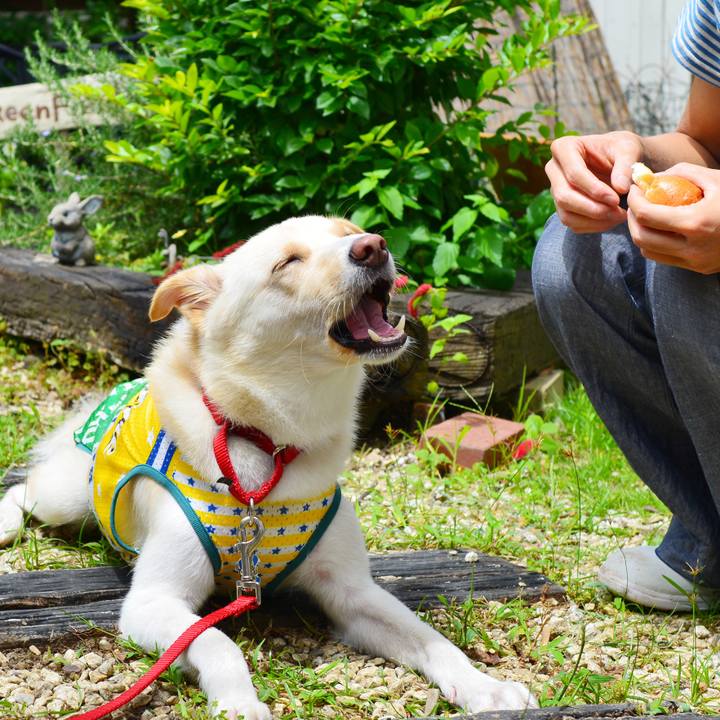 E0a5d3bf 6d1c 4aa0 a770 6ddc4fca74e6