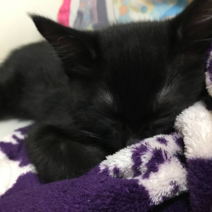 E0a5e3c4 7089 4931 917e 28d5978f2177