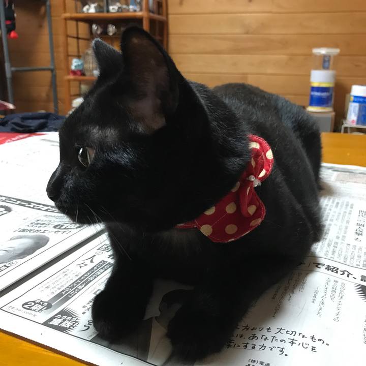 E0a621d3 69a8 41b8 bf78 92bc30a69082