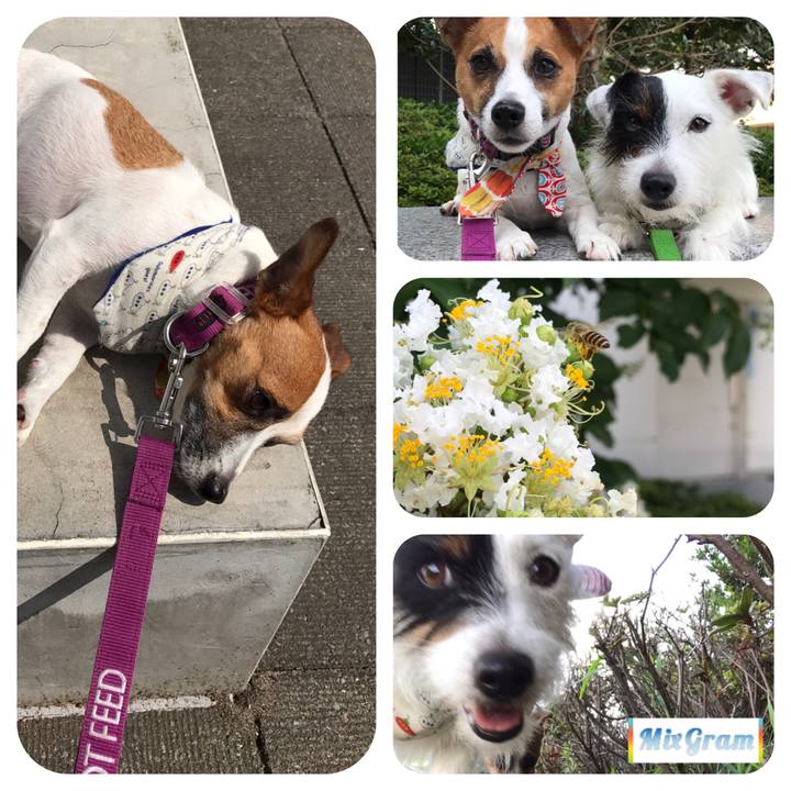 E0a6b96e 5b2f 4e9a a54f 88546379411e