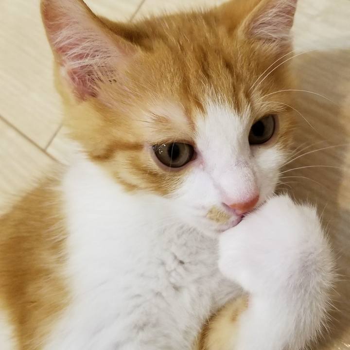 E0a825bc 1c78 40ad b93f e8cf1c3c022c