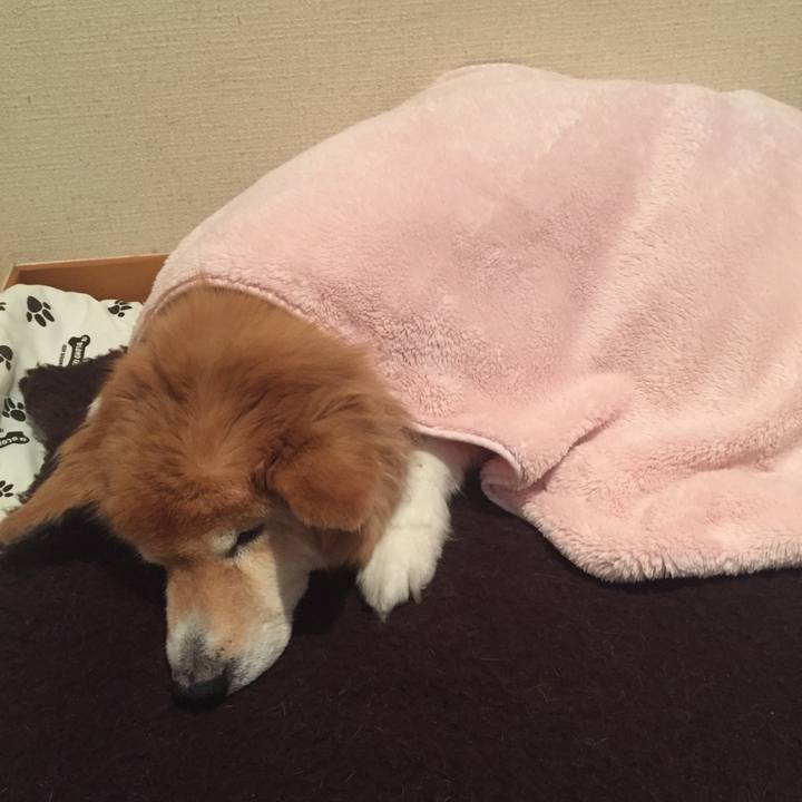 E0a830b2 18b1 4617 a421 cc3c28a8e0f7