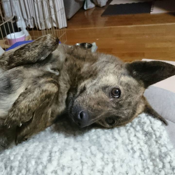 E0a831ea 1116 44a5 90f5 5cd7014d84b3