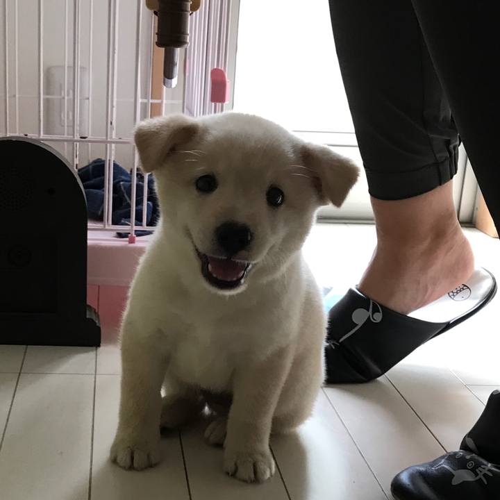 E0a85392 3b84 4c9b 8a1d c9bcfc8b9cec