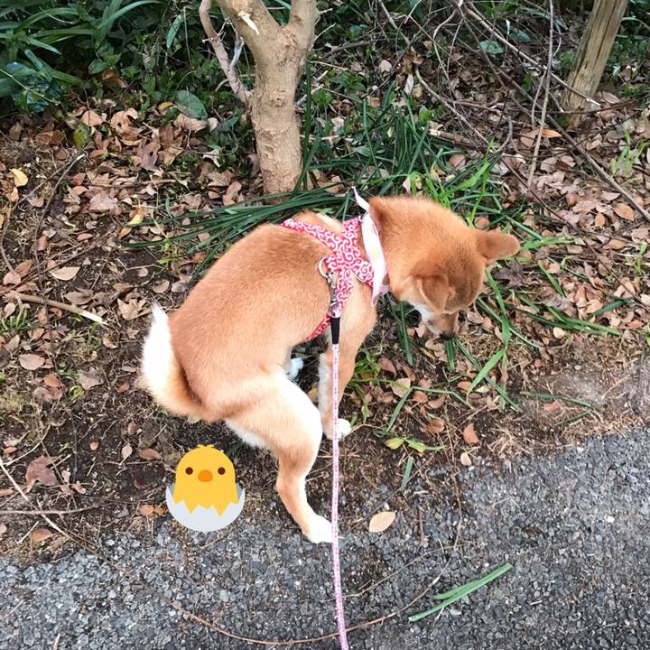 E0a86e55 acb2 4a99 befe 110cc71f63b3