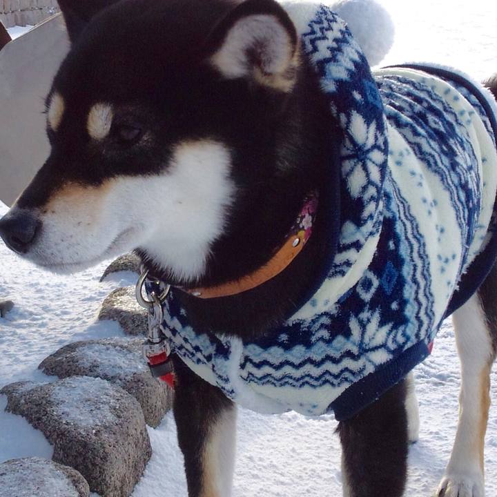 E0a8bab6 e218 47b4 ac11 77a5e55e6b61