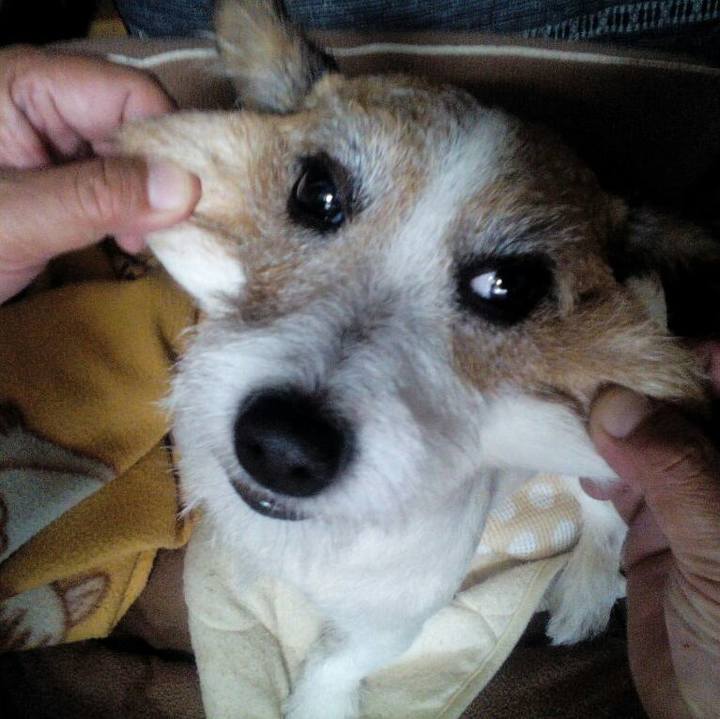 E0a9cd0c 5b40 40b1 bcac f7af71953e64