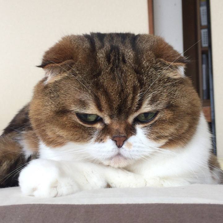 E0ab32d1 acd9 44bd b429 81e265b78f93